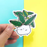 Hoya Macrophylla Vinyl Sticker by Wild Lark