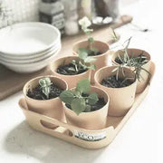 Sustainable Eco Planter Herb Pot with Tray Set of 6, Sand Beige by Wild Lark