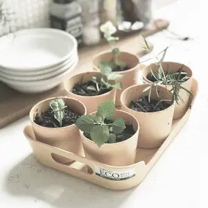 Sustainable Eco Planter Herb Pot with Tray Set of 6, Sand Beige by Wild Lark