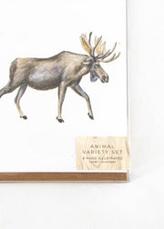 Set of 8 Animal Variety Cards by Wild Lark