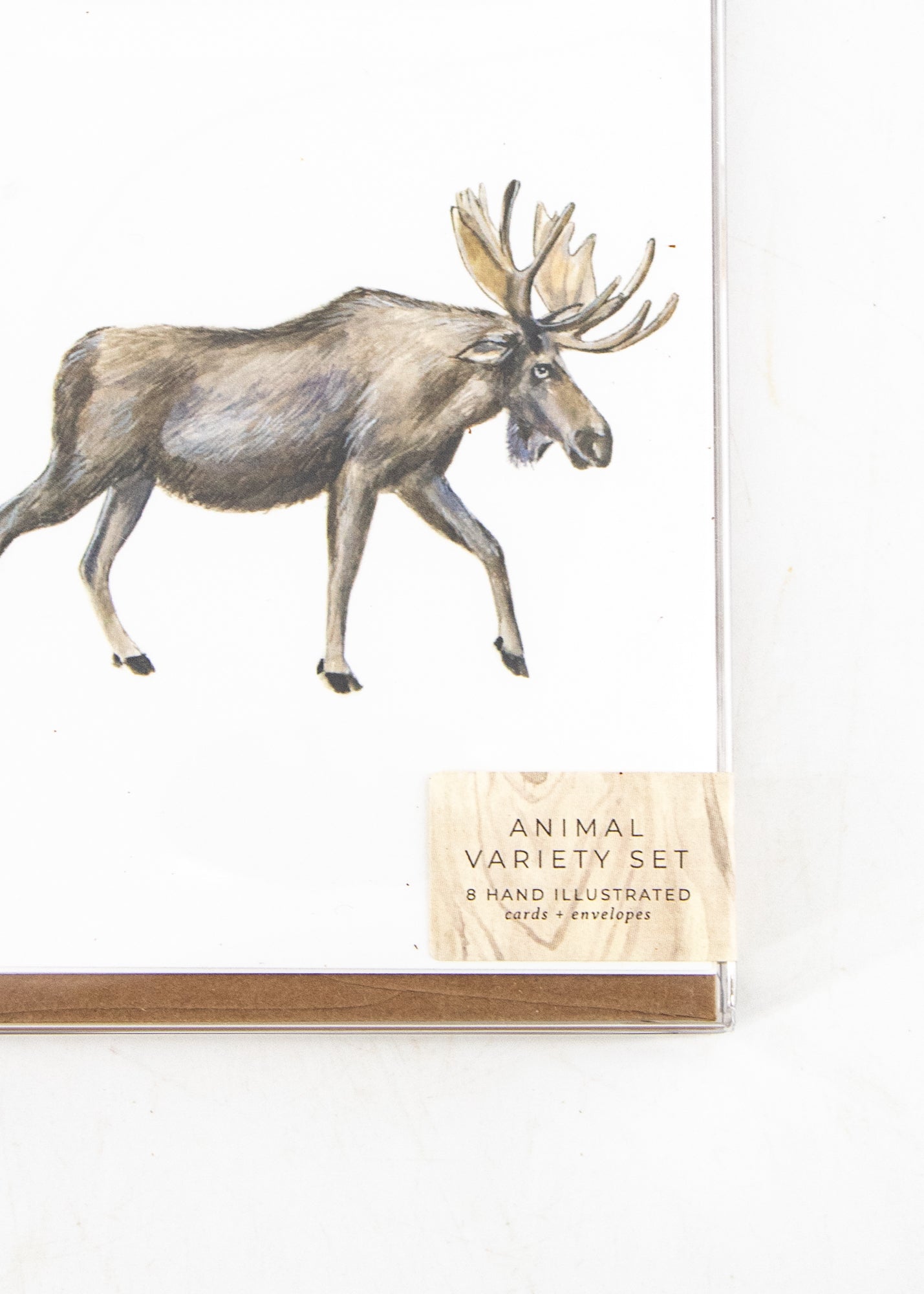 Set of 8 Animal Variety Cards by Wild Lark