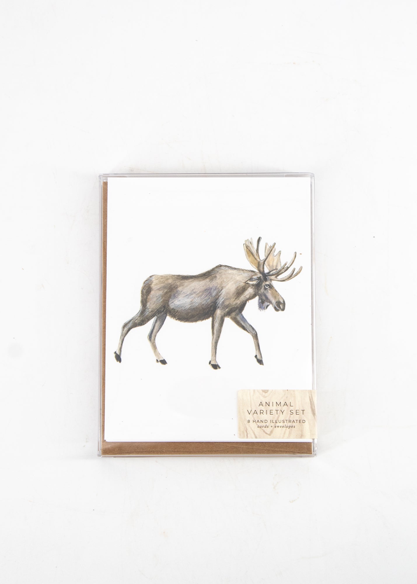 Set of 8 Animal Variety Cards by Wild Lark