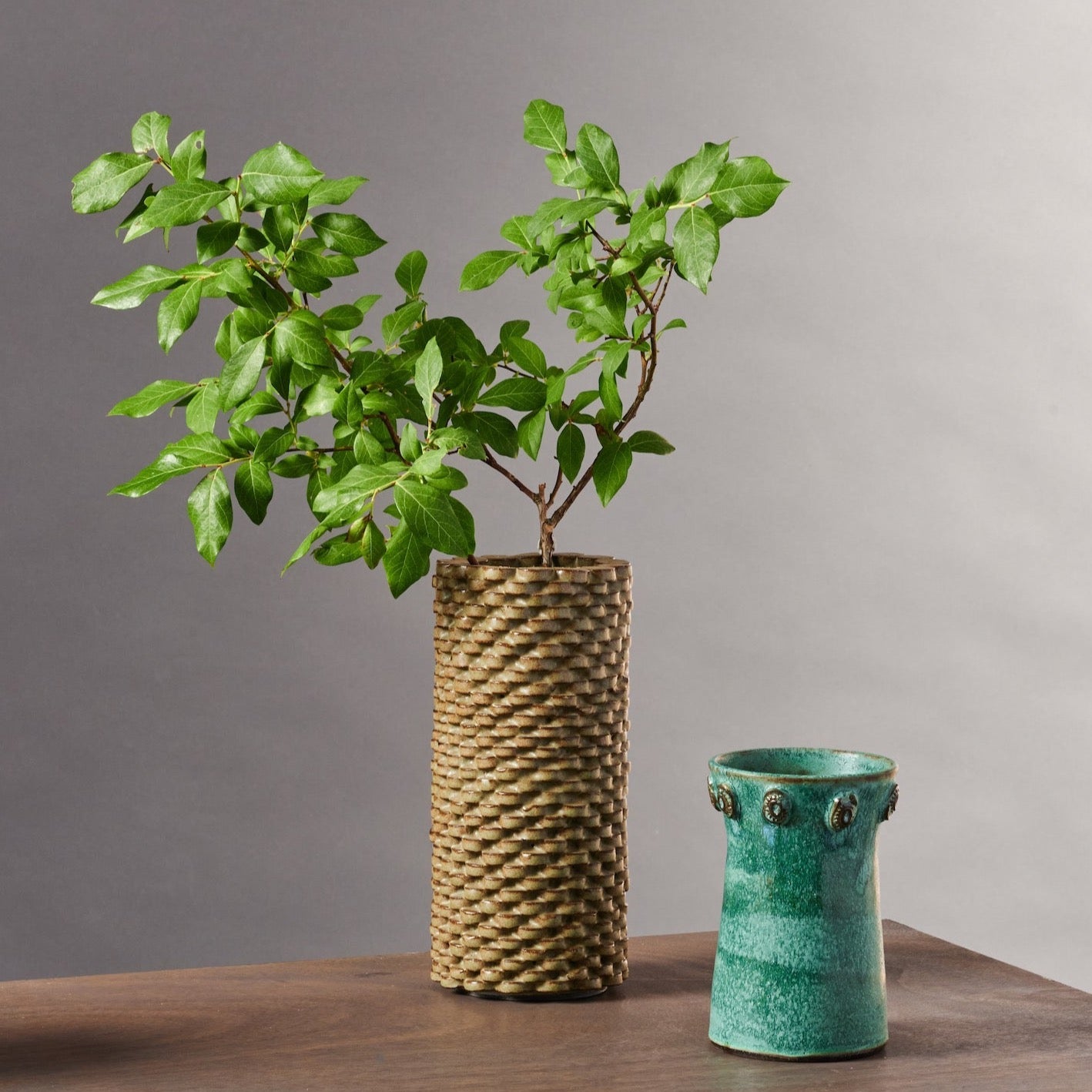 Dot Vase by DandyLion