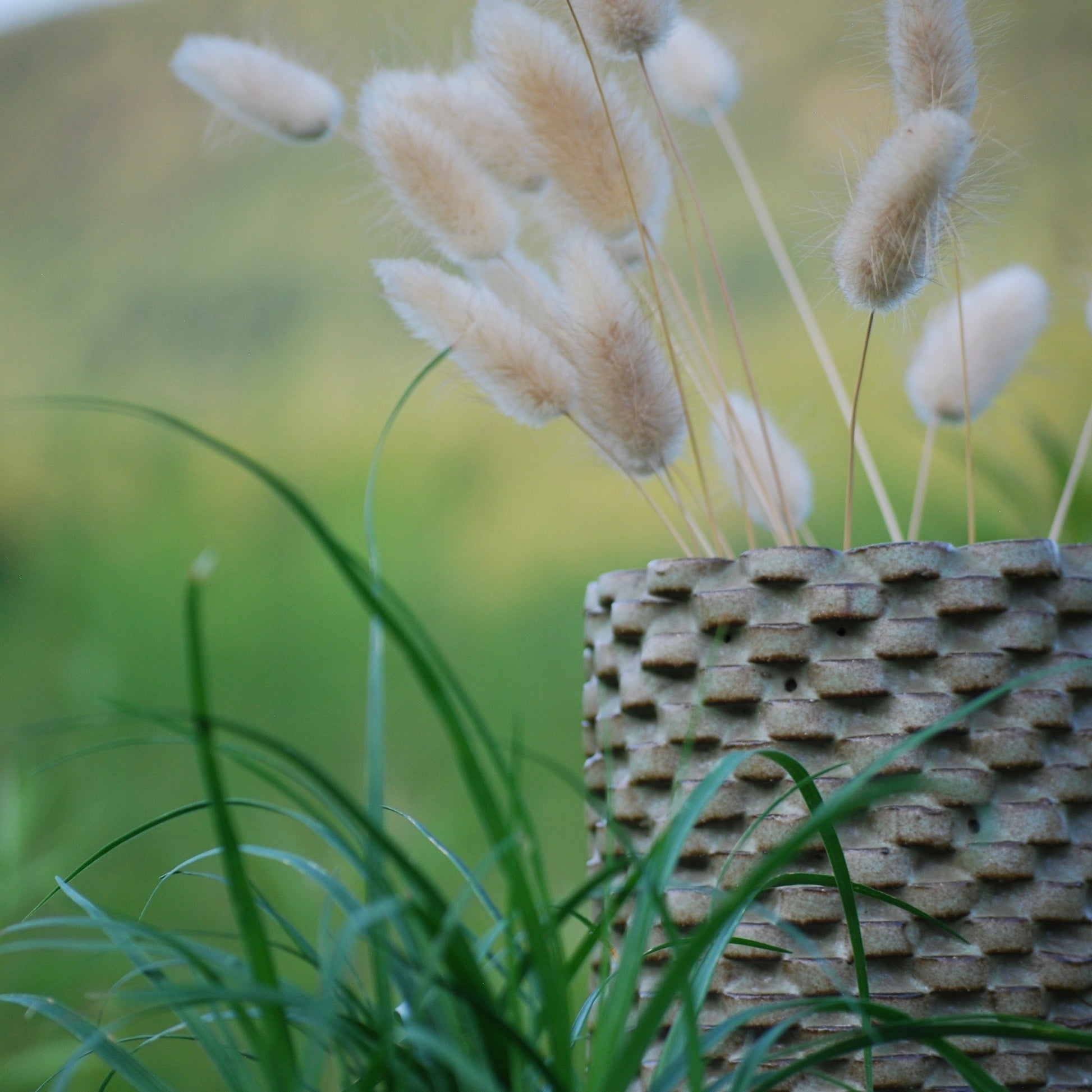 Dot Vase by DandyLion