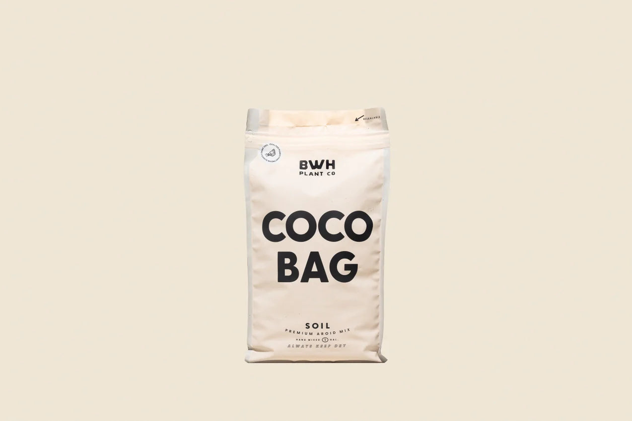 Coco Bag