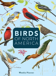 Birds of North America: Undated Weekly and Monthly