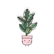Ficus Tineke Vinyl Sticker by Wild Lark