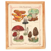 Wild Mushrooms Print by Wild Lark