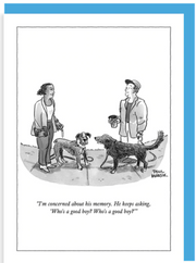 New Yorker Card Who's A Good Boy by Pet Food Warehouse