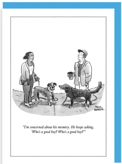 New Yorker Card Who's A Good Boy by Pet Food Warehouse