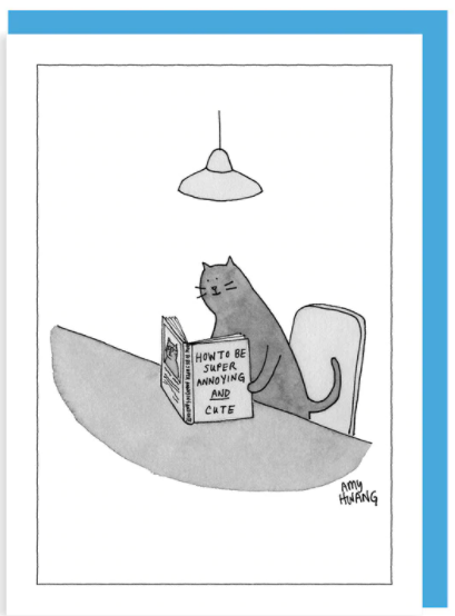 New Yorker Card Cat / Annoying And Cute by Pet Food Warehouse