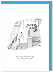 New Yorker Card Cat / Dog In Prev Life by Pet Food Warehouse