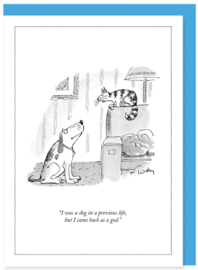 New Yorker Card Cat / Dog In Prev Life by Pet Food Warehouse