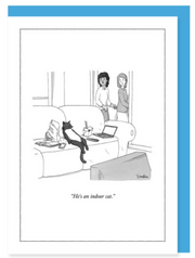New Yorker Card Cat / Couch Indoor by Pet Food Warehouse