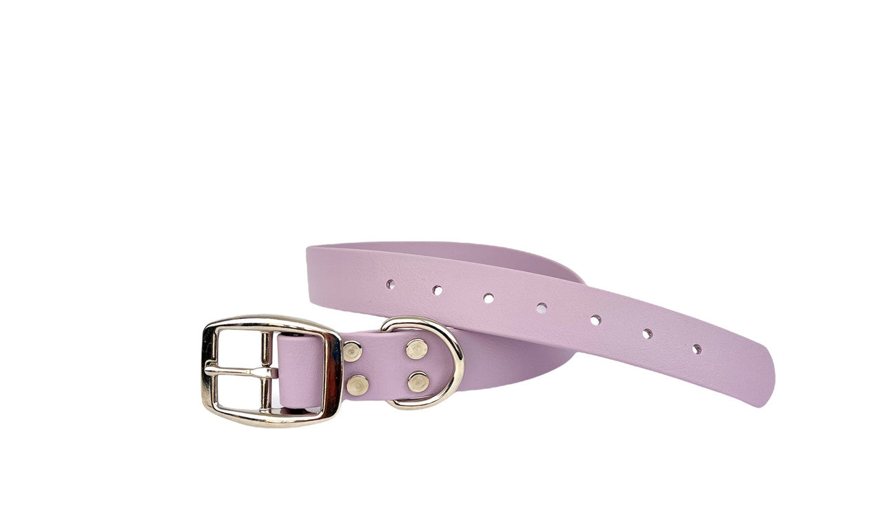 Waggle Woof & Wander Biothane Dog Adjustable Collar Purple 1" Large up to 25" by Pet Food Warehouse