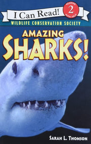 AMAZING SHARKS