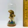 Mushroom Curiosity Jar Real Fungi Curio by Wild Lark