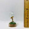 Mushroom Curiosity Jar Real Fungi Curio by Wild Lark