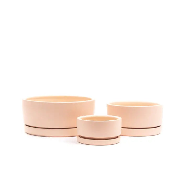 8.25" Gemstone Low-Bowls with Water Saucers by Wild Lark