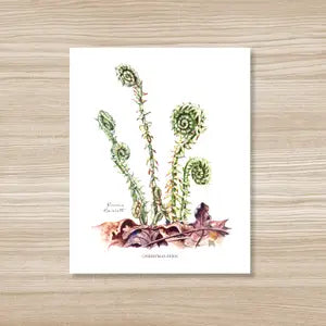 Rosalie Haizlett Art Prints by Wild Lark
