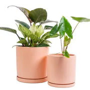 12.5" Gemstone Cylinder Pots w/ Water Saucers by Wild Lark
