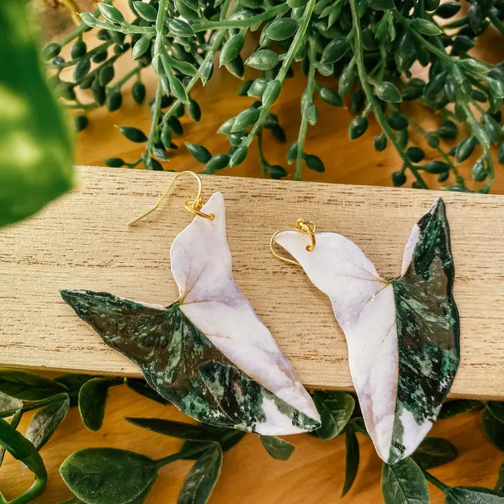 Syngonium Albo Leaf Earring, Magnet, Pin, Decor, Jewelry by Wild Lark