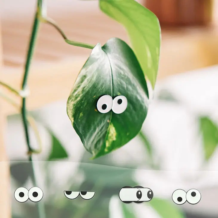 Glow Eyes 4-pack - 🌱 Plant Magnet by Wild Lark