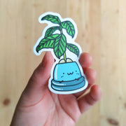Avocado Vinyl Sticker by Wild Lark