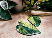 Jessenia Pothos Plant Leaf Earring, Magnet, Accessory,Decor by Wild Lark