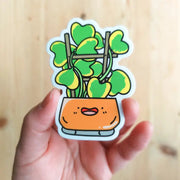 Variegated Hoya Kerrii Vinyl Sticker by Wild Lark
