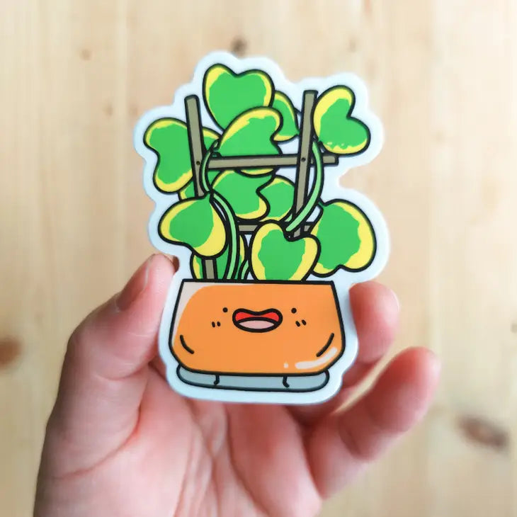 Variegated Hoya Kerrii Vinyl Sticker by Wild Lark