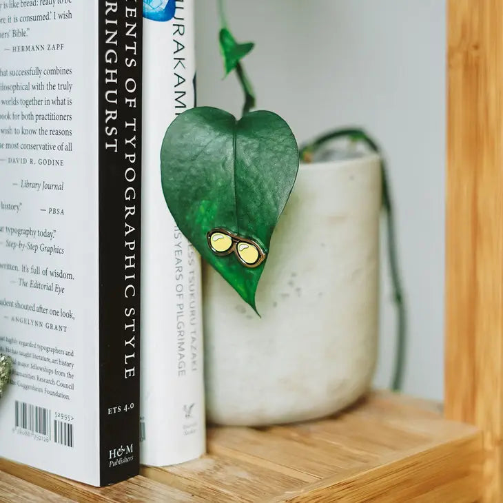 Sunnies 4-Pack - 🌱 Plant Magnet by Wild Lark
