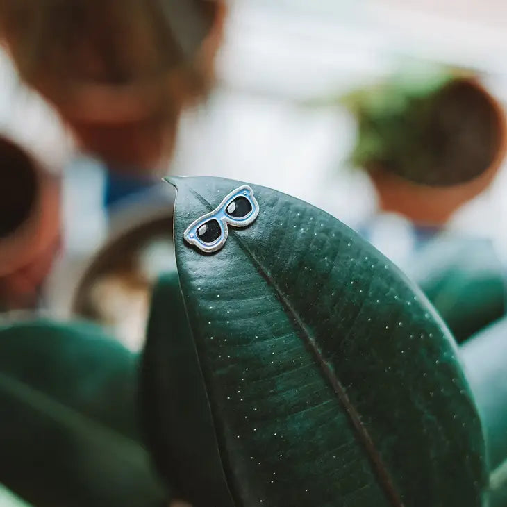 Sunnies 4-Pack - 🌱 Plant Magnet by Wild Lark