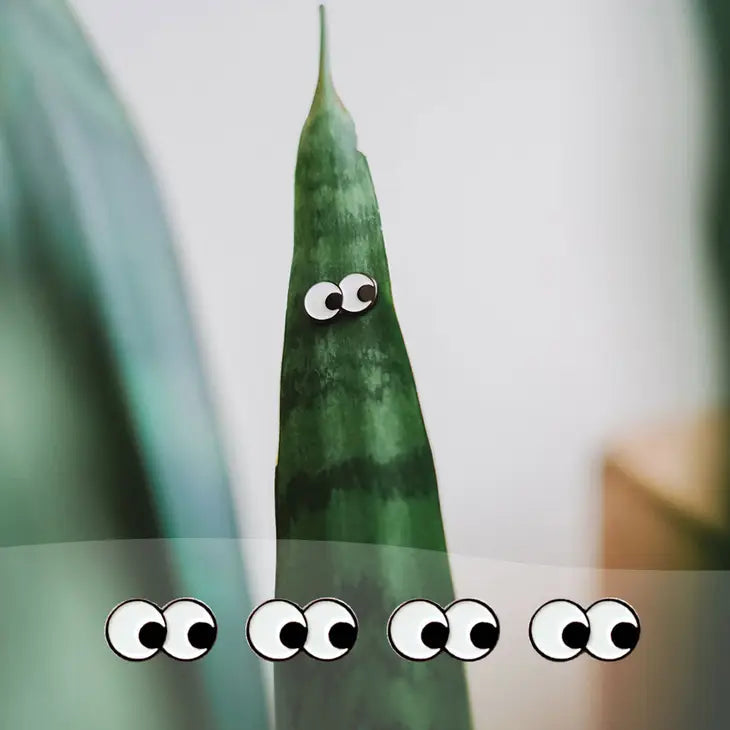 Googly 4-Pack - 🌱 Plant Magnet by Wild Lark