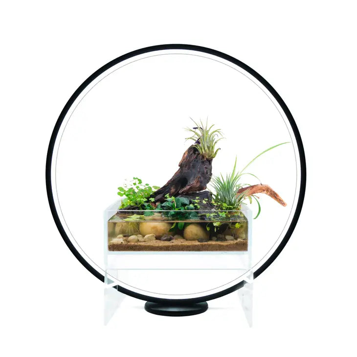 Circle Full Spectrum Plant Grow Light w/ Display Stand, for 15.8 inch Diameter Circle LED w/ Mini Nano Shallow Tank by Wild Lark