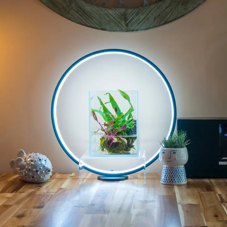 Circle Full Spectrum Plant Grow Light w/ Display Stand, for 15.8 inch Diameter Circle LED w/ Mini Nano Shallow Tank by Wild Lark