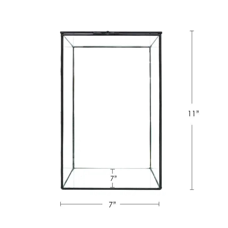 Indoor Plant/Little Forest Glass Vessel Container for Plants New Version - Top Opening - Container Only by Wild Lark
