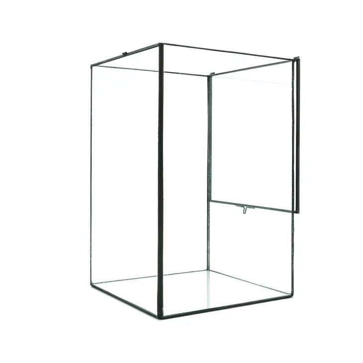 Indoor Plant/Little Forest Glass Vessel Container for Plants New Version - Top Opening - Container Only by Wild Lark