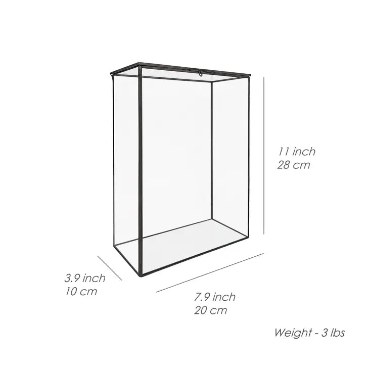 Bookshelf Plant Geometric Glass Vessel Container for Plants - Glass Container by Wild Lark