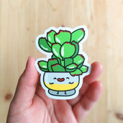 Bear Paw Succulent Vinyl Sticker by Wild Lark