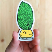 Dracaena Masoniana Vinyl Sticker by Wild Lark