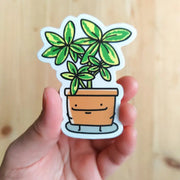 Schefflera Vinyl Sticker by Wild Lark