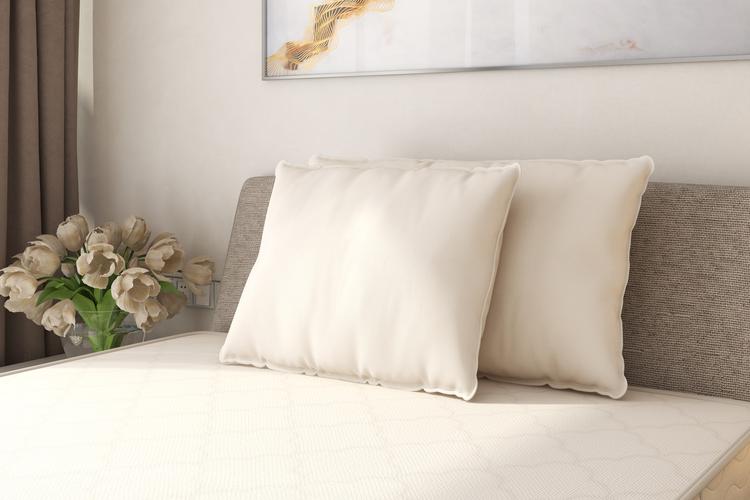 OMI Certified Organic Cotton Pillow - Queen & Standard by Natural Mattress Company