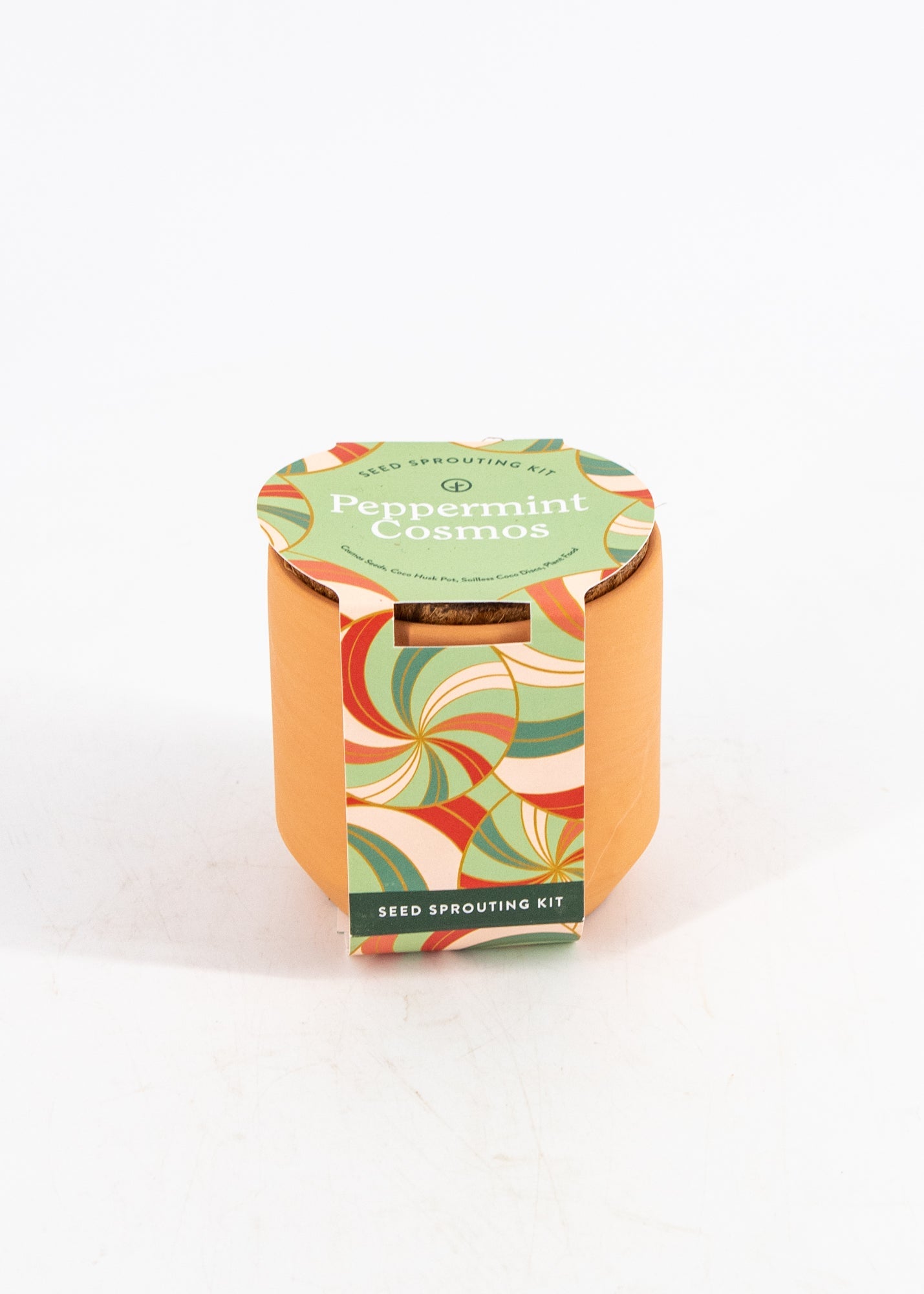 Peppermint Cosmos Seed-Sprouting Kit by Wild Lark