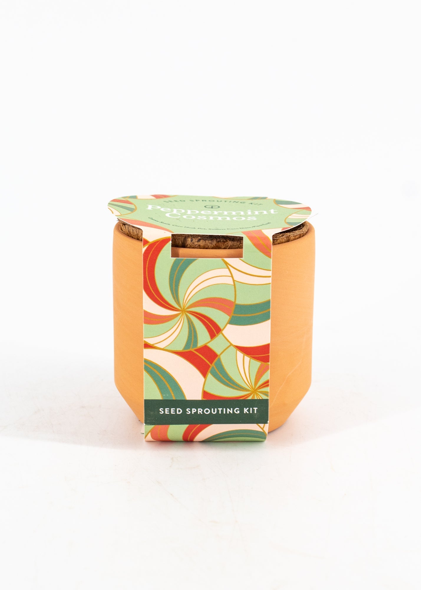 Peppermint Cosmos Seed-Sprouting Kit by Wild Lark