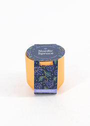 Nordic Spruce Seed-Sprouting Kit by Wild Lark