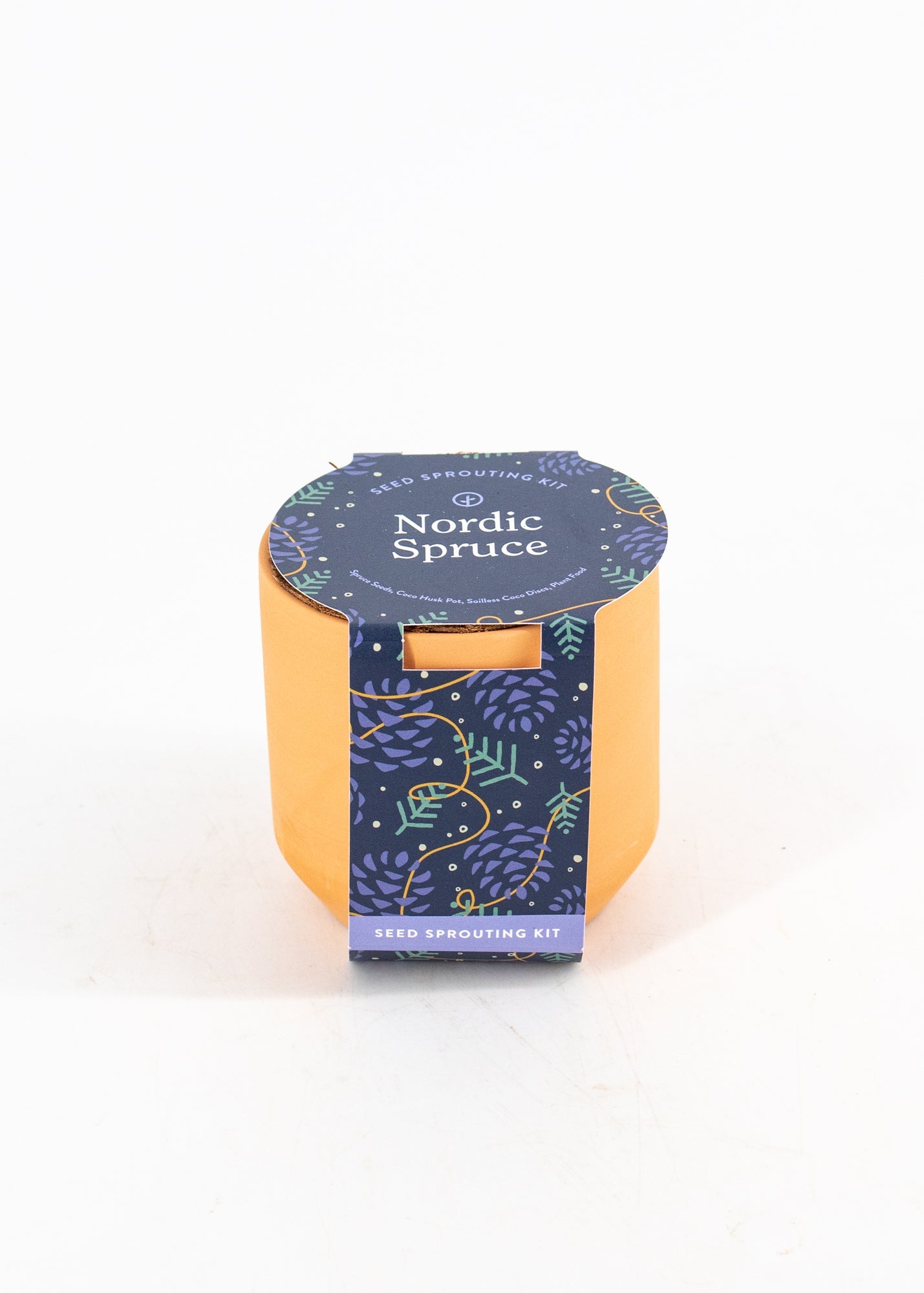 Nordic Spruce Seed-Sprouting Kit by Wild Lark