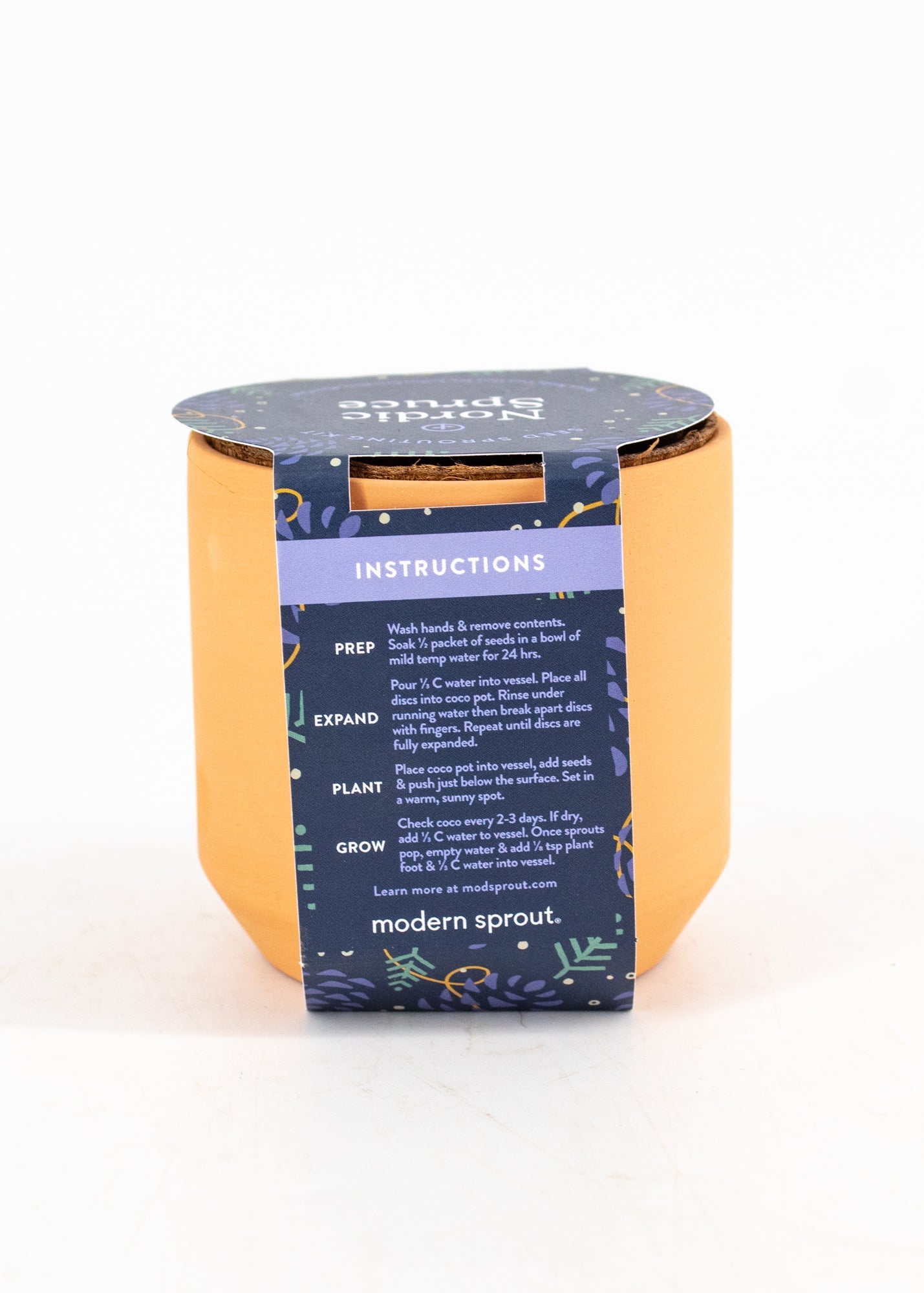 Nordic Spruce Seed-Sprouting Kit by Wild Lark