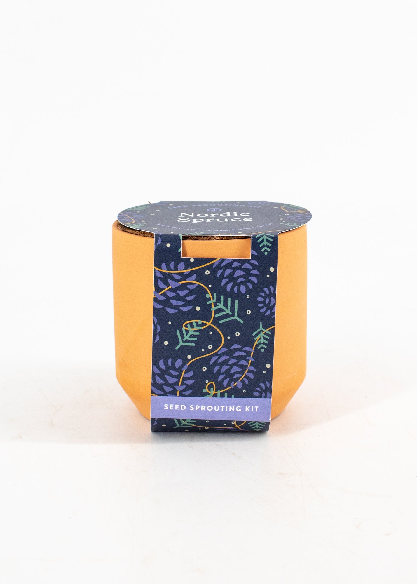 Nordic Spruce Seed-Sprouting Kit by Wild Lark