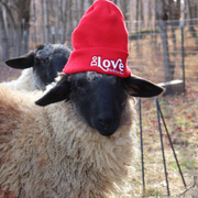 Do Love Red Beanie by Do Love Collective